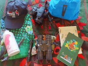 {:es}Preparándo el GBD{:}{:en}getting ready for GBD{:}{:fr}prêts pour le GBD{:}